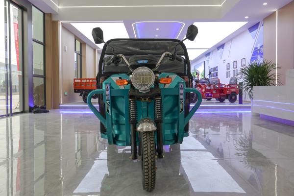 Semi Enclosed Two Seater Electric Tricycle 25km/H 60v 1000w