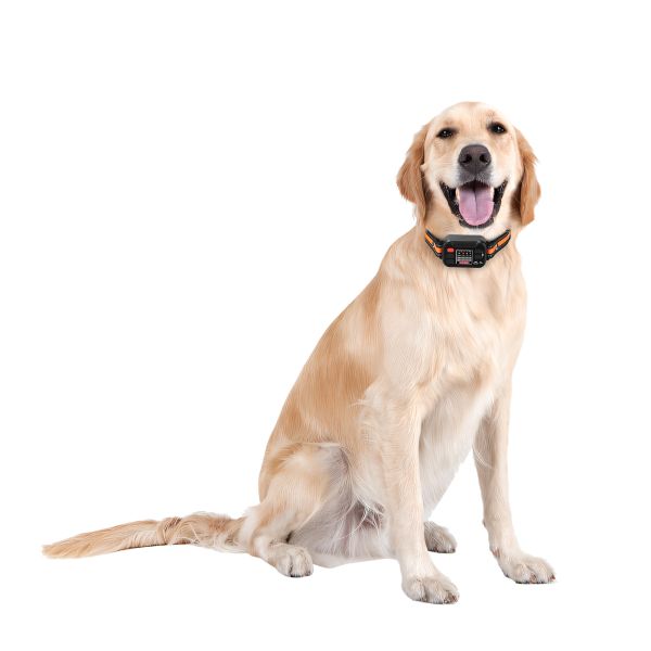 Multi-Functional GPS Satellite Fixed Electronic Dog Training Device IP67 Waterproof ABS Material Simple Operation Novel