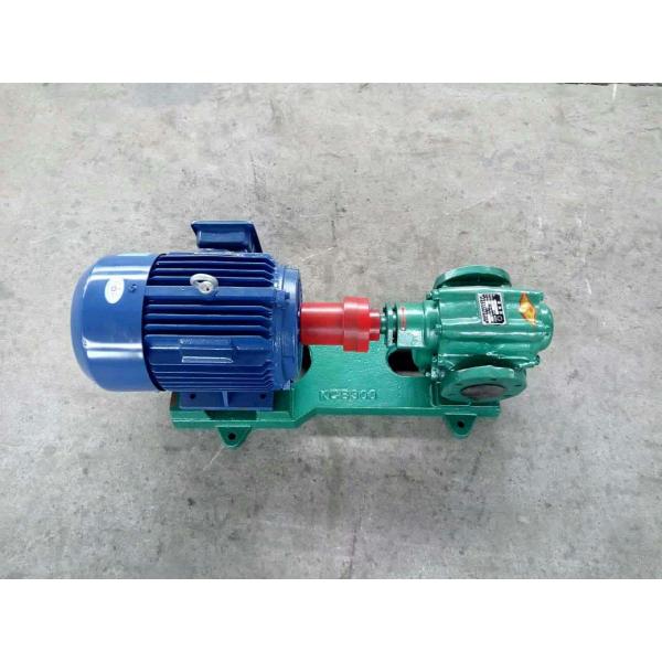 Stainless Steel Gear Oil Transfer Pump ZYB Series High Wear Resistance