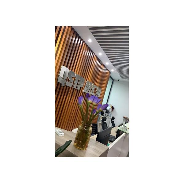 EC210 Excavator Fuel Pump 3 Holes 4 Holes 21019945 Volvo EC210 EC290B EC160C EC240B