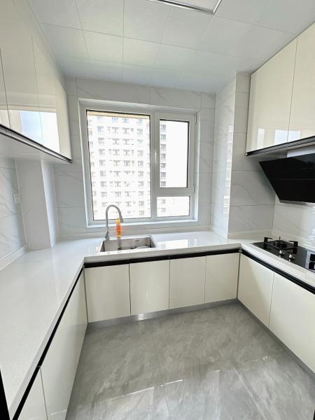 Modern Kitchen Cabinets with Quartz Countertop and Backsplash