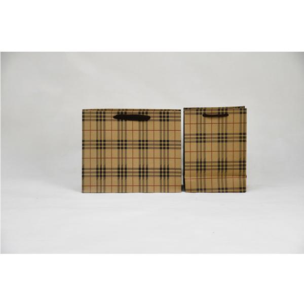 5Kg Weight Capacity Kraft Shopping Paper Bags  Eco Friendly Packaging Recycled