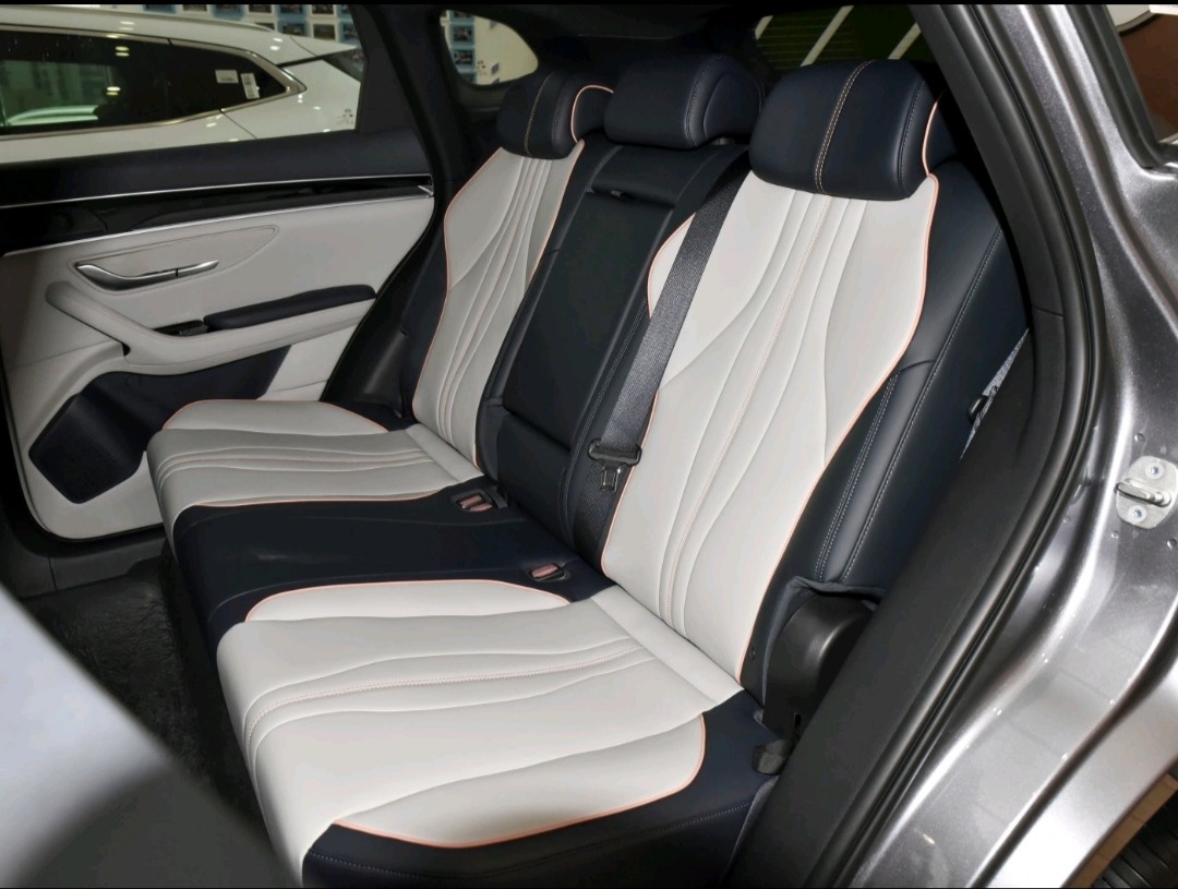 Песня BYD плюс компакт 2021 версии корабля- флагмана EV SUV EV 100 km ускорения 8.8S