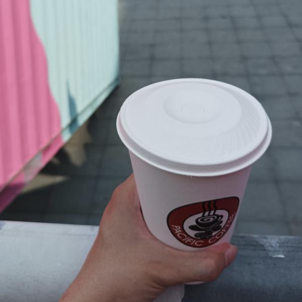 100% Fiber Pulp PFAS-Free compostable bagasse molded pulp paper coffee cups lids