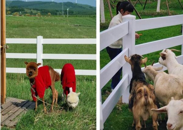 1.2m White 3-Rail Heavy Duty PVC Horse Fence