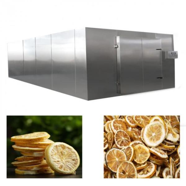 Reliable Industrial Hot Air Dryer Fruit And Vegetable Dryer Machine