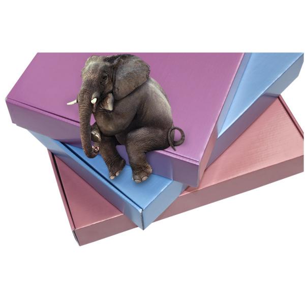 Коробка таможни изготовленного на заказ печатания складывая рифленая с водоустойчивое металлопленочным