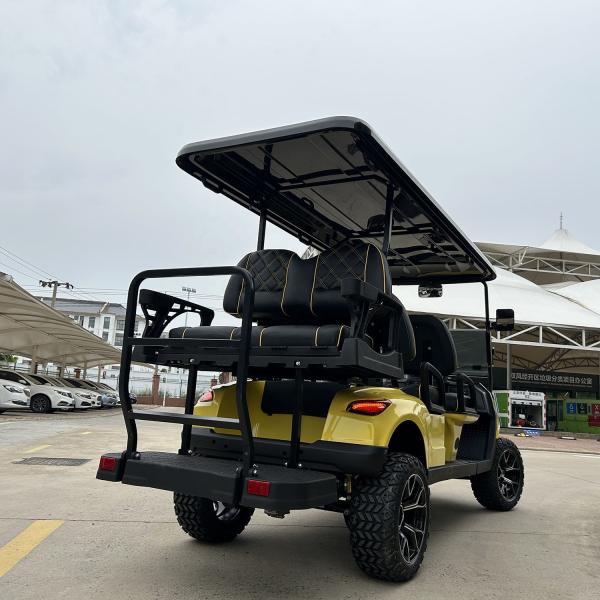 800kg Max Load Capacity Golf Cart with Fast Buggy Electric and Customized Logo Design