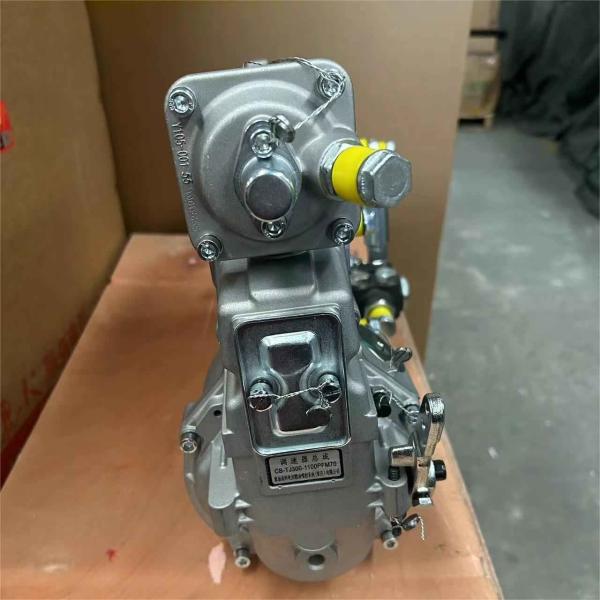 VG1560080023 Assemblage de pompe à injection de carburant Parties de moteur Weichai