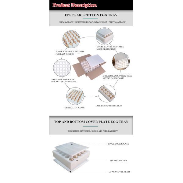 Quality Assurance Custom EPE Egg Foam Tray Oem Wholesale Egg In Egg Carton Eco-Friendly Corrugated Cardboard Egg Paper Packaging Box Customizable Shape with Foam Inserts Transport Display