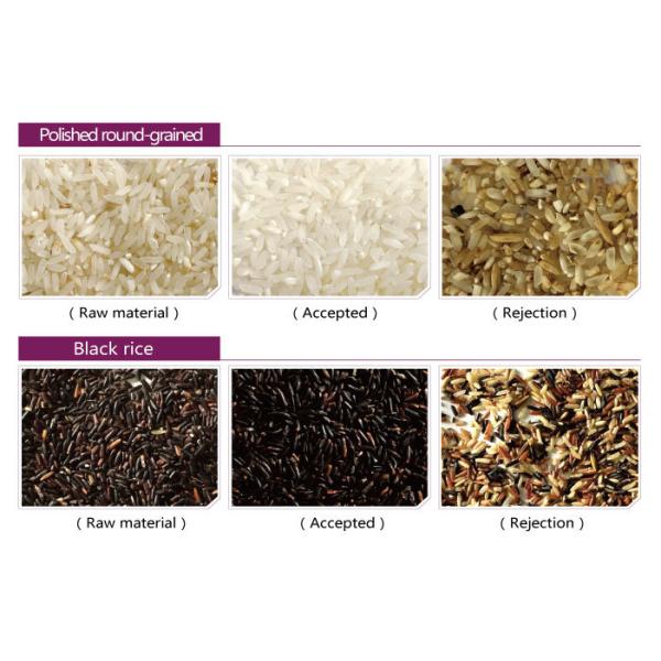 3 Chutes Optical CCD Rice Color Sorter Machine Intelligent LED Source