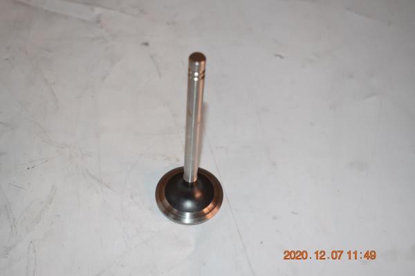 148-7455 VALVE d'échappement pour le CATE330