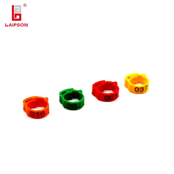 Chicken Foot Ring Easy To Identify Poultry Equipment For Poultry