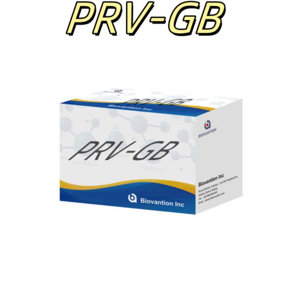 Specificity ELISA Immunoassay Kit for Serological Detection PRV reagent