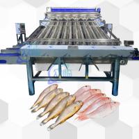 Classificateur automatique de poissons à 12 rouleaux pour 4-5 tailles