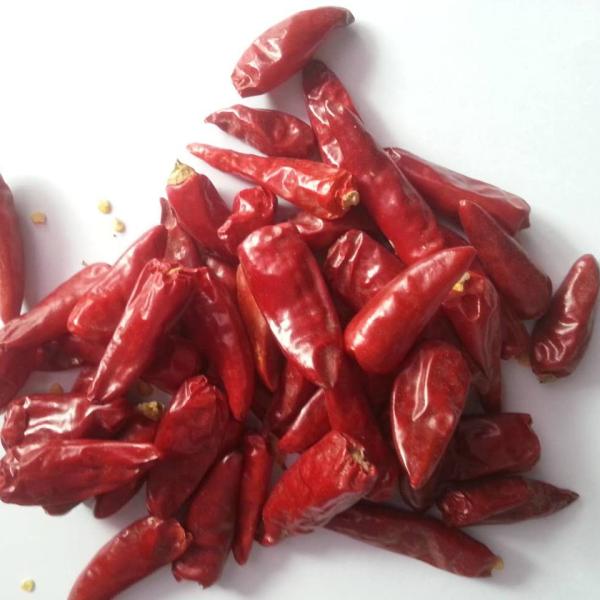 Chaotian высушило красные чили перцев чилей 1% желтоватые едкие все сухие