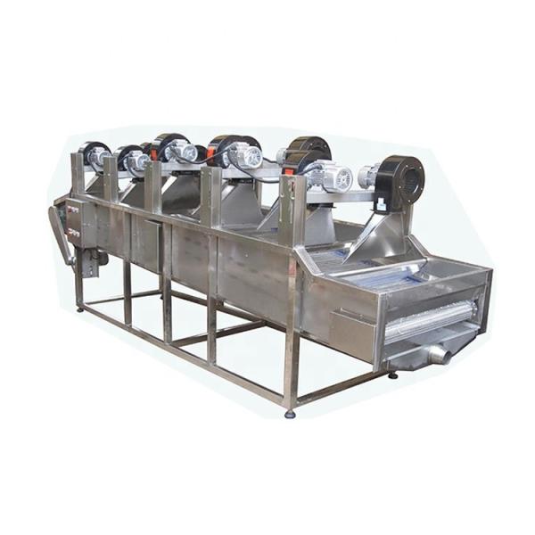 1000 kg/h Máquina automática de secagem de batatas fritas para alimentos e bebidas