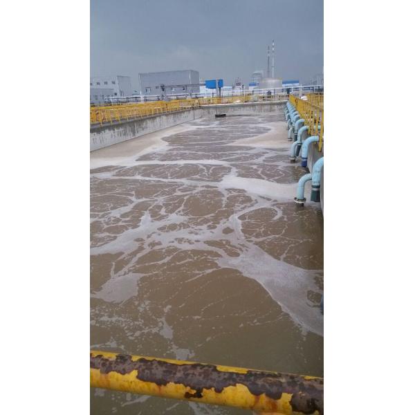 PAM полиакриламида катиона ISO для dewatering шуги индустрии