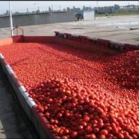 Machine de transformation de 50 tonnes par jour