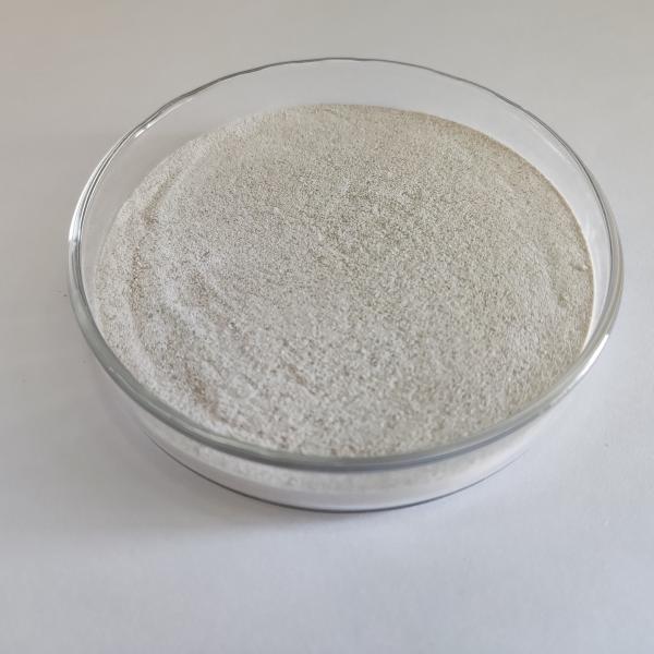 Enzyme catalase de qualité alimentaire en poudre liquide à haute concentration