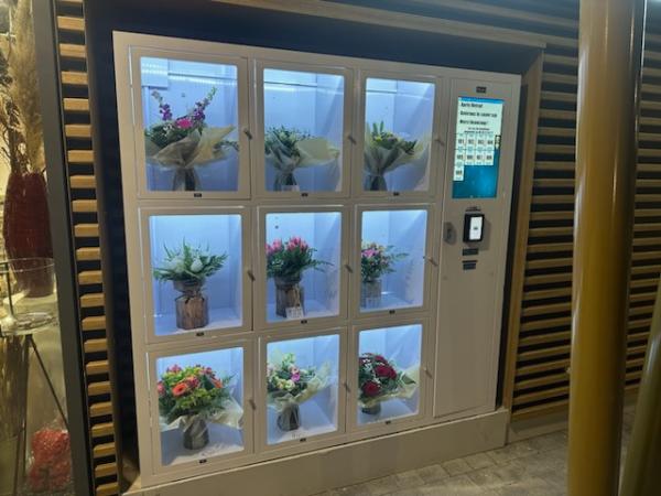 Máquina automática de arrefecimento de 24 horas por dia para flores frescas