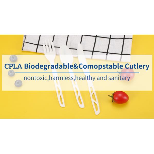 Individually Wrapped Food Grade Disposable Cutlery Biodegradable Transparent