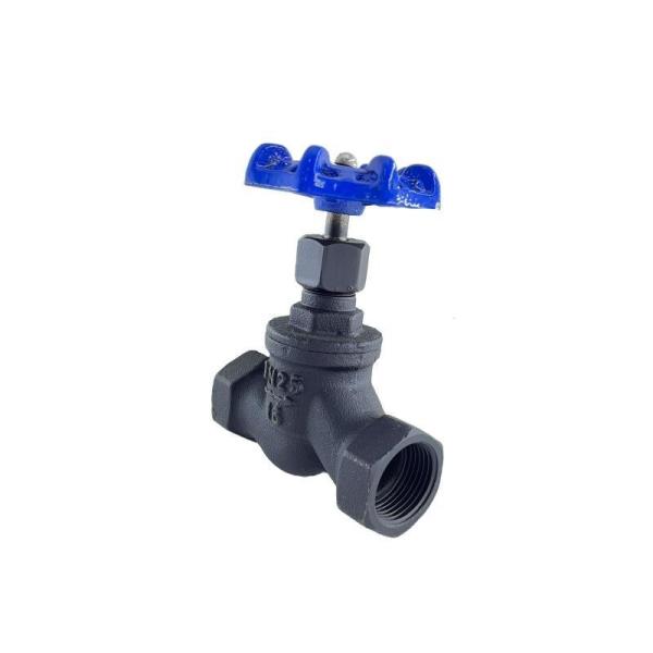 Water Media Gland Packings Globe Valve with J11H Flanged Ends Forged Carbon Steel