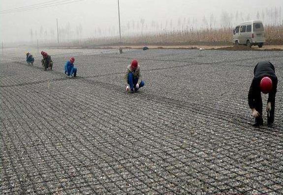 Modern Design Steel Plastic Geogrid for Railway Surface Enhance Road Surface Resistance