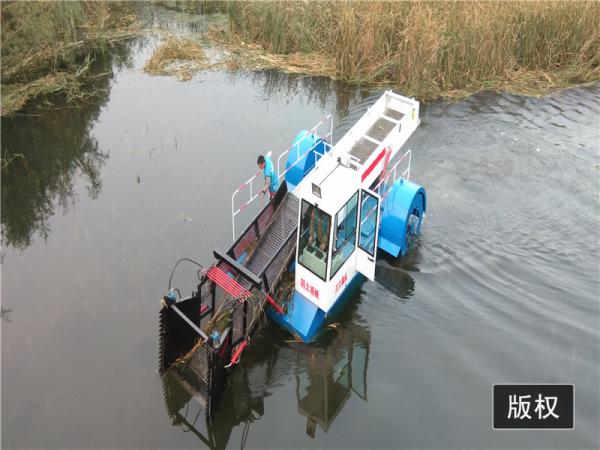 2021 ceifeira aquáticas da erva daninha/água Hyacinth Mowing Vessel/Reed Cutting Ship