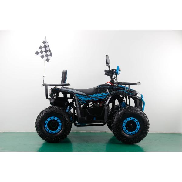 CE Certified 125cc 4 Stroke Petrol Beach Buggy with 8inch Wheels and 150kgs Max Loading