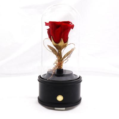 100% Natural Fresh Preserved Rose Glass Dome For Wedding Decoration