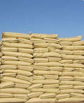 Amazon hot sale Wholesale of high-quality sunflower seed raw materials for oil extraction