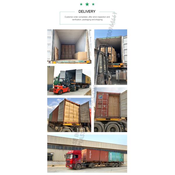 Customized Printing Logo Disposable Plastic Garment Security Seals Clothes Shoes Bags Hang Tags Zip Tie Plastic Seal