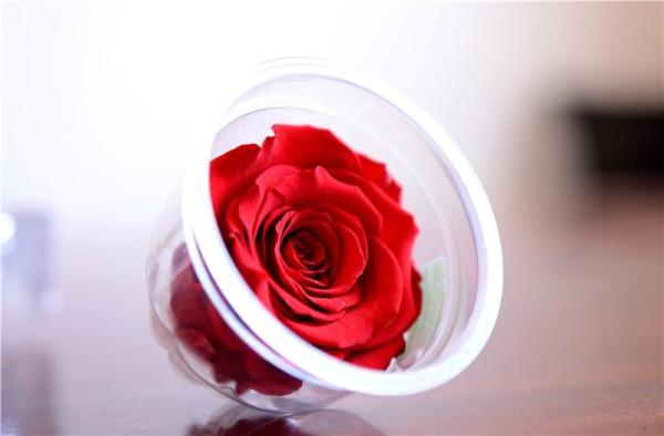 China factory Real Preserved Rose in Gift Box for Decoration Gift Preserved Flowers in Box