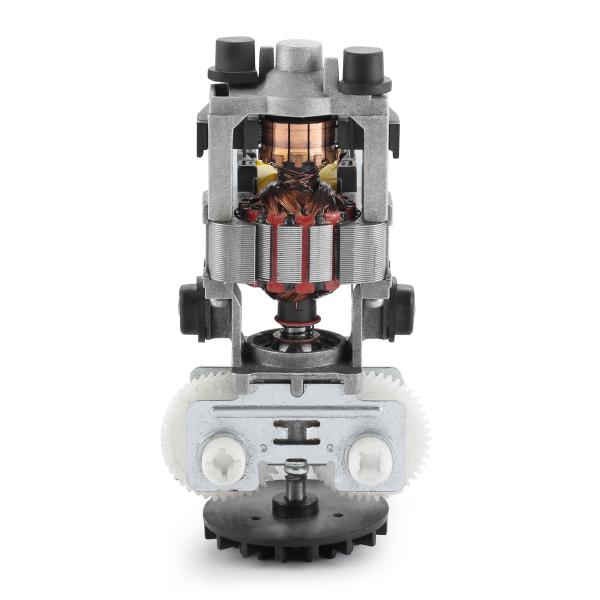 High Torque 830rpm 55mm 110v 220v 30W 50/60Hz AC Electric Motor for Professional