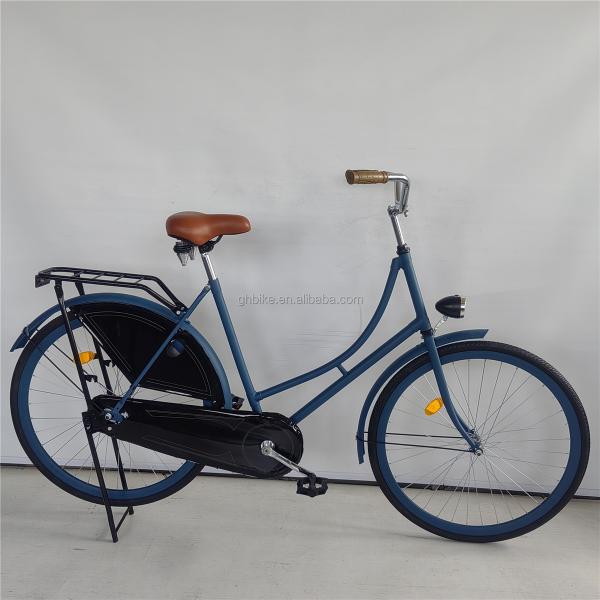 Single Speed 28 Inch Vintage Classic Black Lady Oma Holland City Cruiser Dutch Bike Bicycle for Women