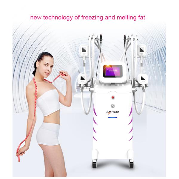 Weight Loss Equipment / Cryolipolysis Slimming Machine For Beauty Salon