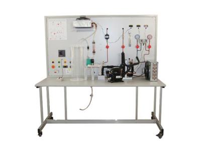 Instrutor mais frio Transport Refrigeration Training ZM6130 para a educação