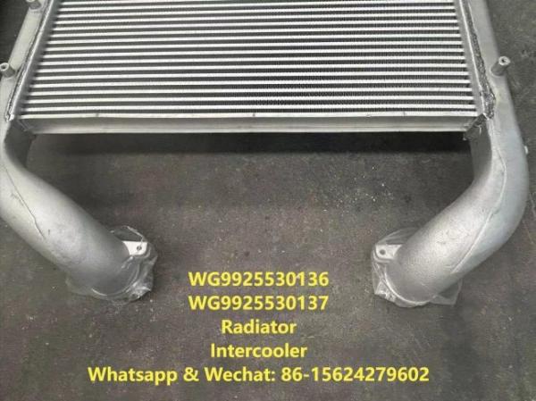 Radiator 712W06100-0005 HOWO Truck Parts Intercooler WG9925530136 WG9925530137 Water Tank