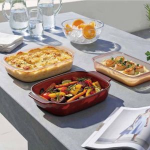 IKOO Private Label Translucent Colored Borosilicate Glass Baking Pan