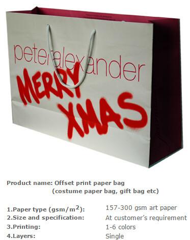 Nice Design Paper Shopping Bag , Recycle / Environmental Luxury Shopping Paper Bag , Raw Material Gift Kraft Paper