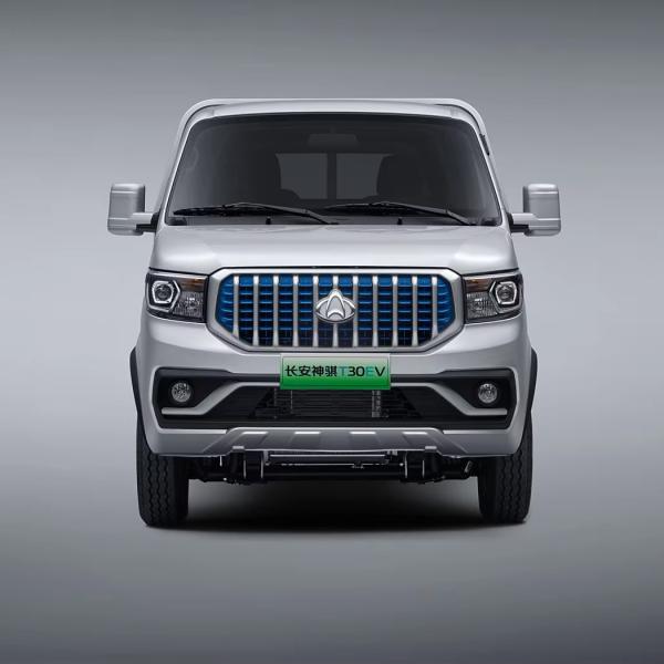2024 Comfort Mini Truck Retail Electrical EV Automobile Commercial T30EV Energy Vehicle