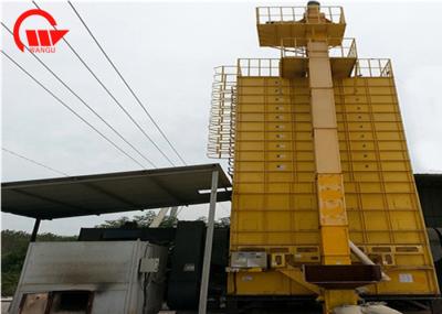 Secador de grão do grupo do elevado desempenho, 10 - secador do escaninho da grão da capacidade de carga 30T