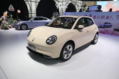 Adulto Mini Electric Car dos assentos das portas 5 do gato EV 5 de Ora bom 25 Mph