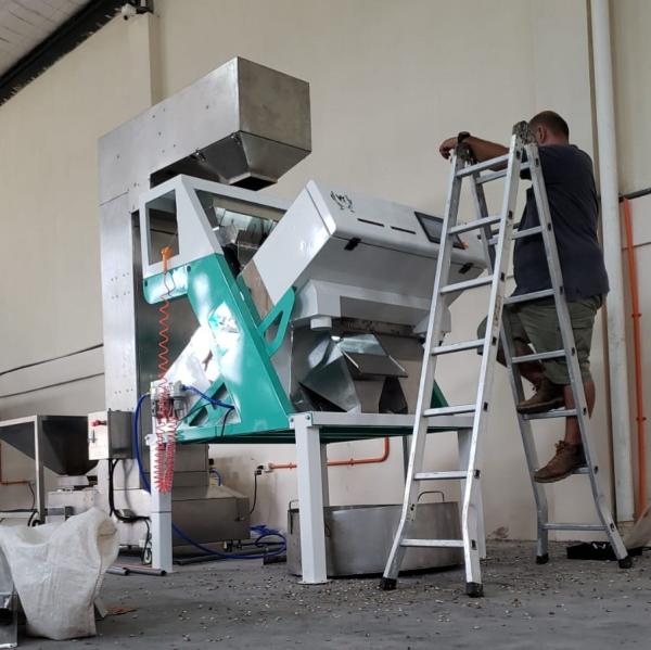 ウェンヤオ 中国 工場価格 完全自動 赤豆 腎豆 カラーソート機