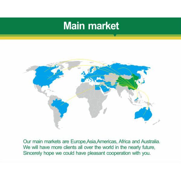 Self Balancing Adult Powerful Electric Scooters Two Wheel Patrol Use 2400w