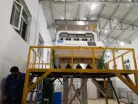 Les arachides blanchies dédoublées de machine de trieuse de couleur d'arachide colorent la trieuse