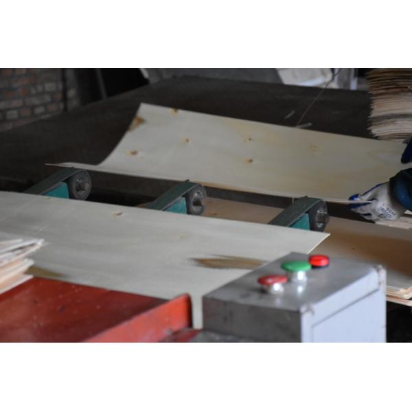 18mm used core face film faced plywoods sheet prices for Construction