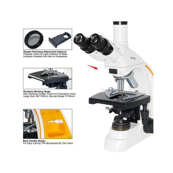 ocular binocular del microscopio biológico A12.0205 WF 10X de la lámpara del halógeno de 12V 20W