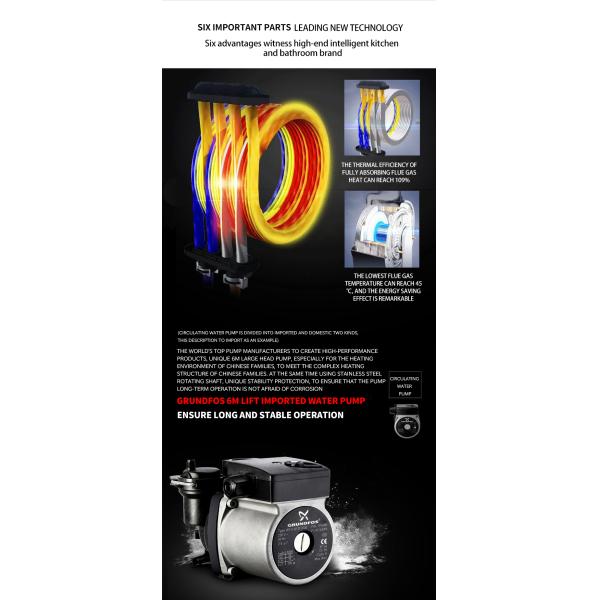 Gas Heating Wall Hung Gas Boiler Combination 35kg for Domestic Hot Water and Heating